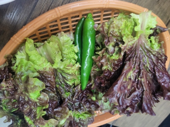 우정 칼국수&보쌈 이미지