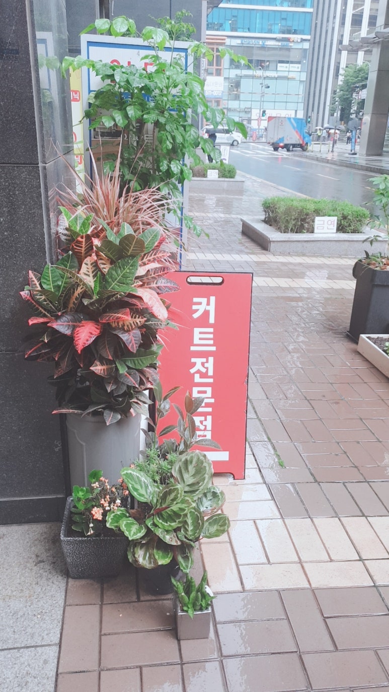 이웃집 미용실 이미지