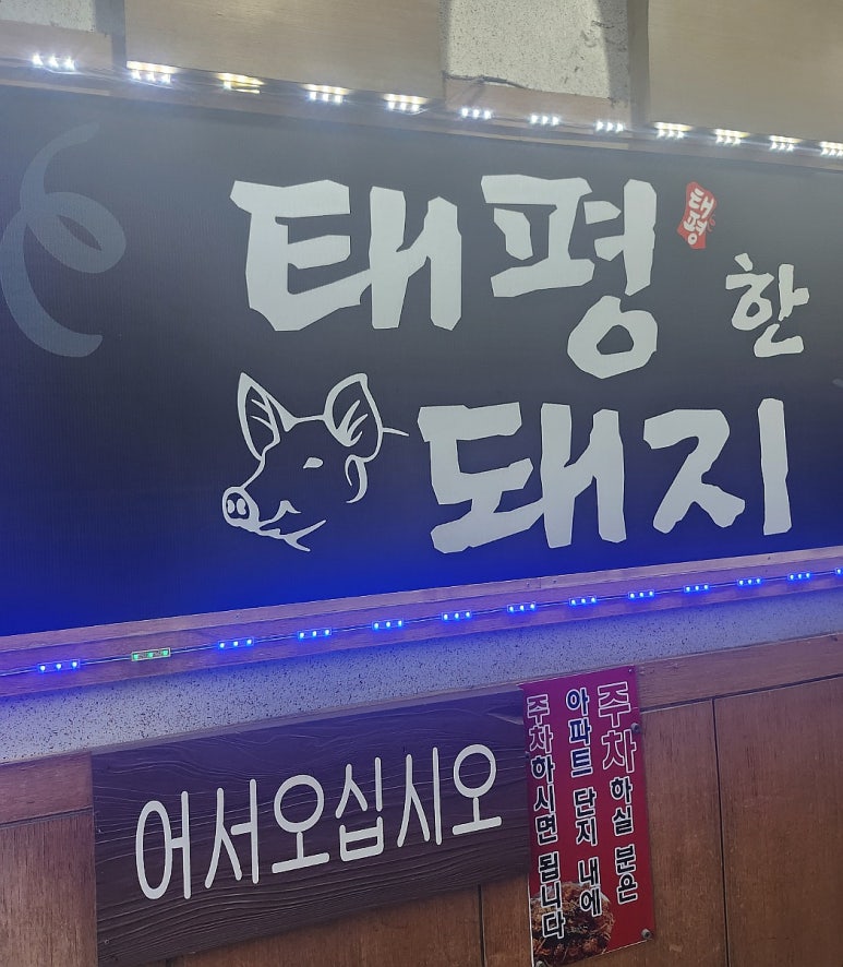 태평한돼지 이미지