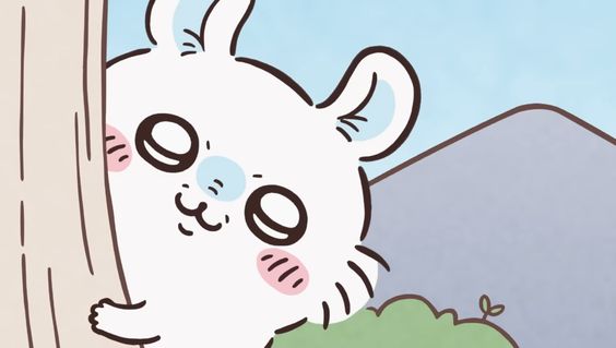 모몽가 이미지