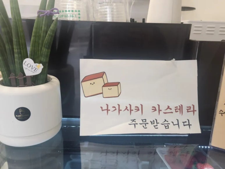 섭씨제주 이미지