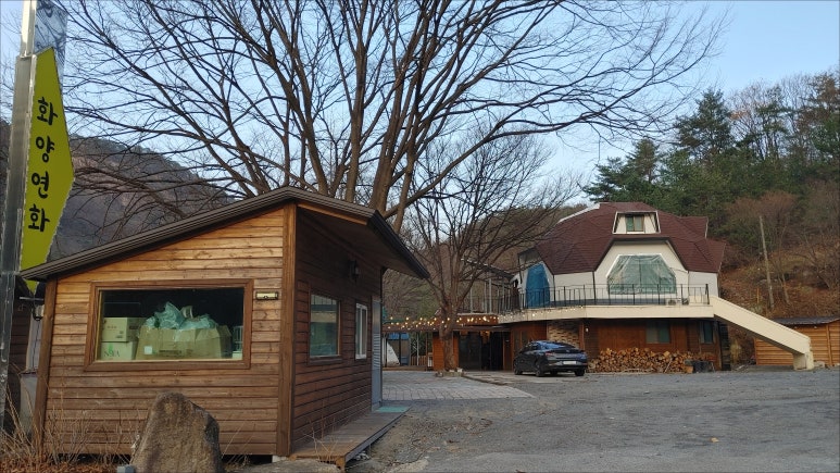 단양연화 이미지