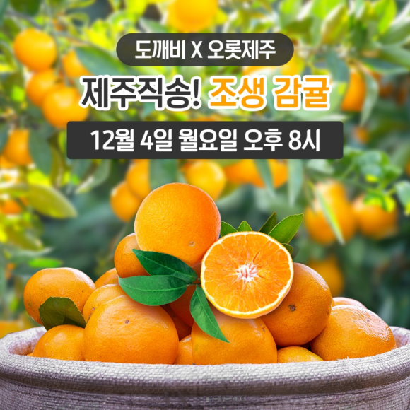 도깨비 몰 이미지