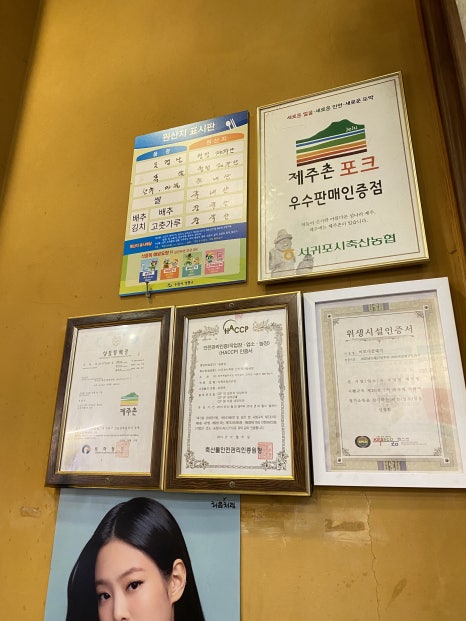 이모네꽃돼지 이미지