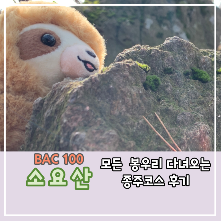 늘보레 이미지