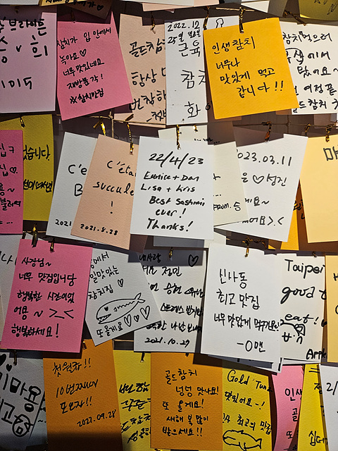 골드참치 이미지