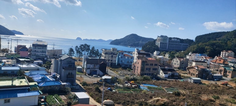 외도펠리스 이미지