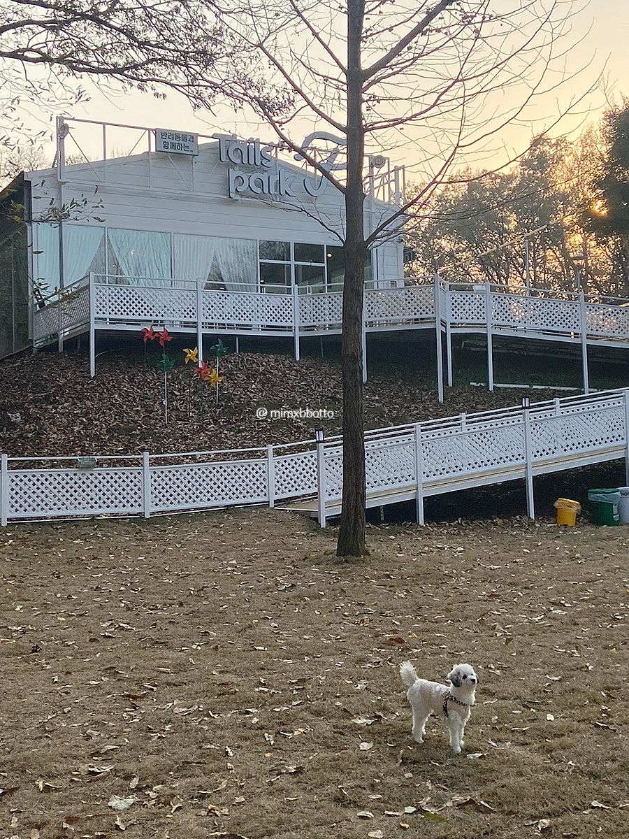 (주)테일즈파크 이미지