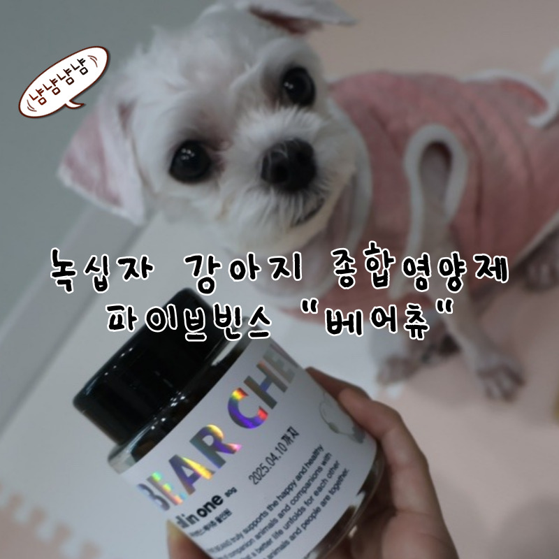 베어파이브 이미지