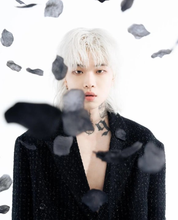 애쉬(ASH) 이미지