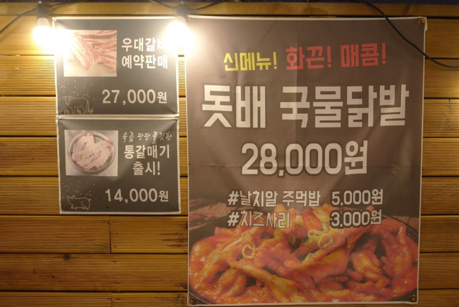 돗배갈매기 이미지