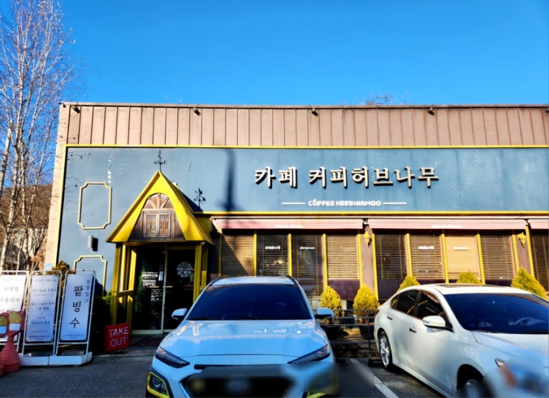 커피허브나무 이미지