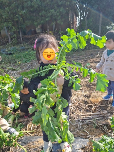 대한꿈터어린이집 이미지