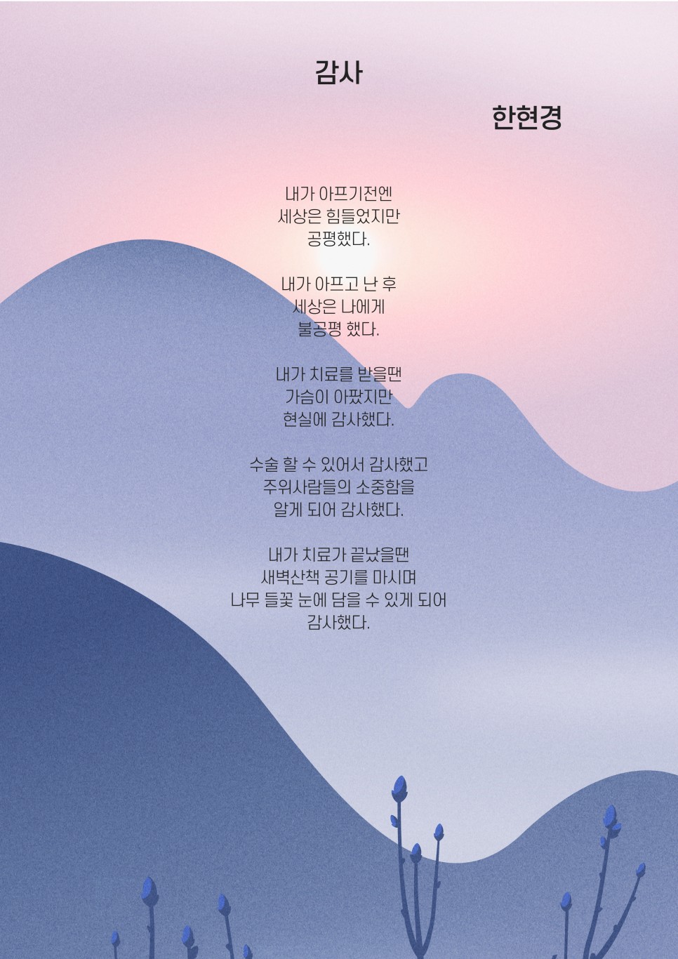 핑크스토리 이미지