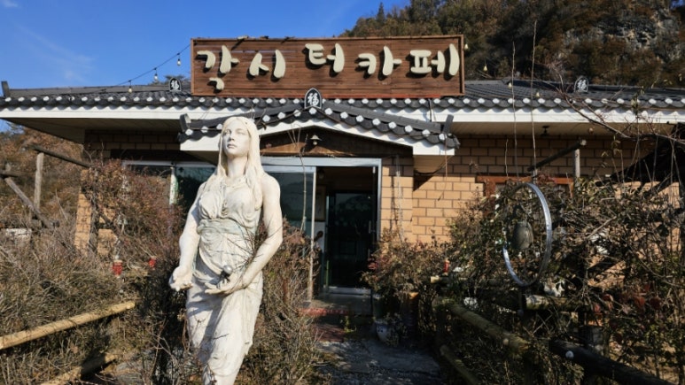 각시터카페 이미지