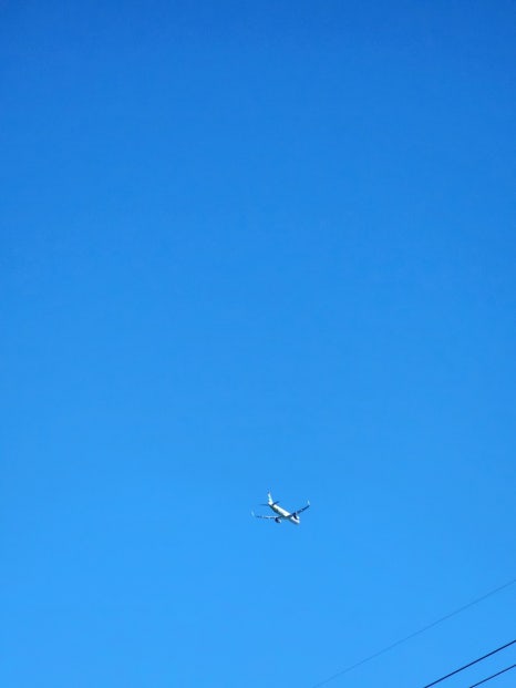 제주어항 이미지