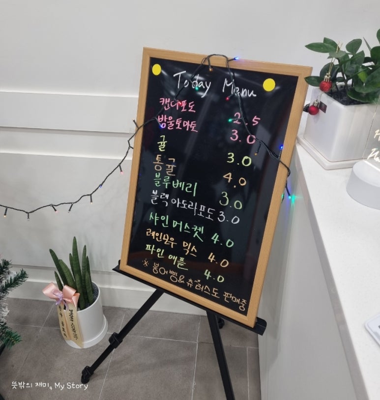 탱글 탕후루 이미지