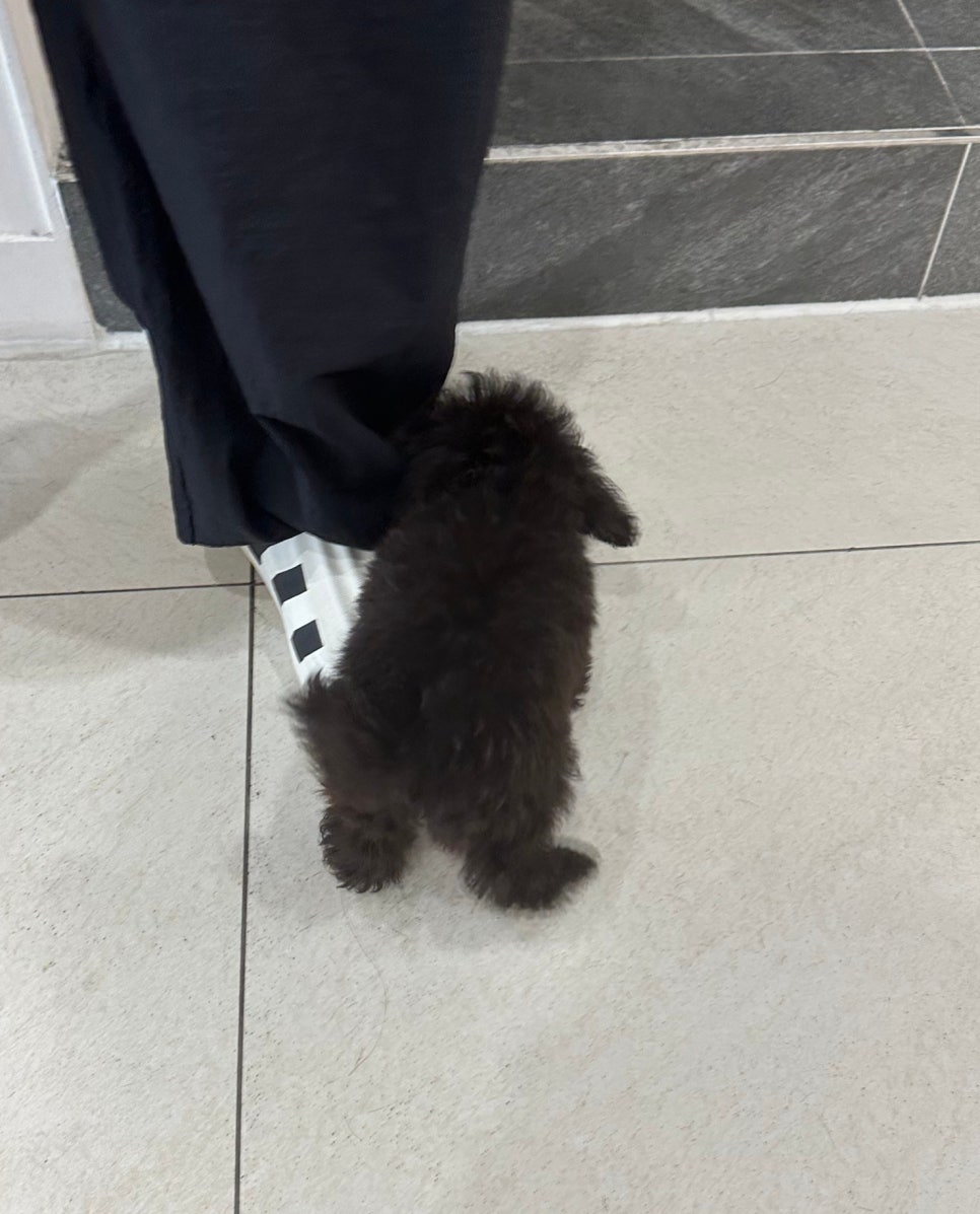선유아헤어 이미지