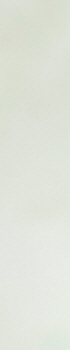 에스와이성형외과의원 이미지