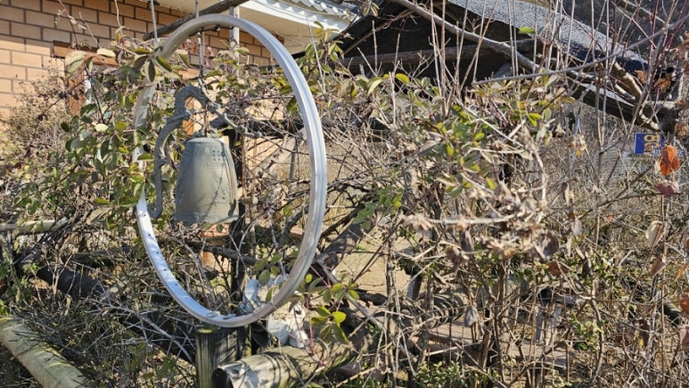 각시터카페 이미지