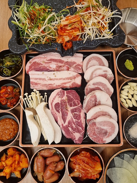 나돼지 이미지