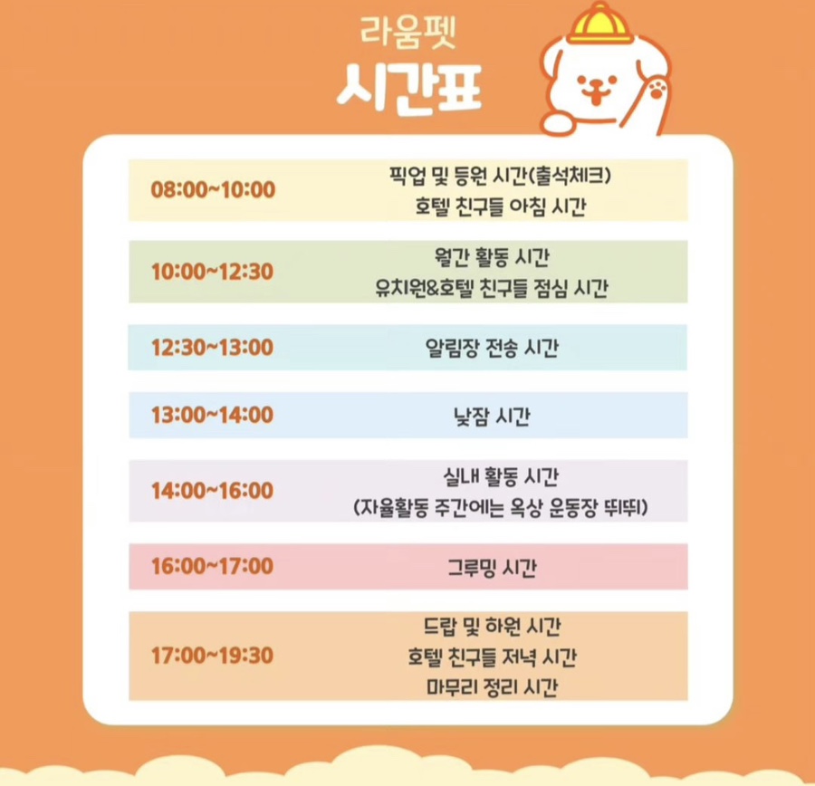대구 강아지 유치원 라움펫, 체계적인 관리와 넓은 공간 — 사진 3
