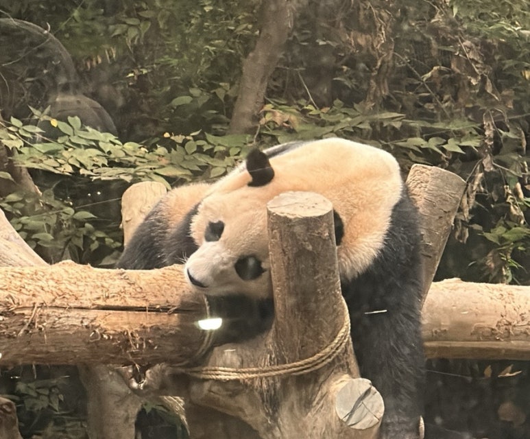 대왕게임장 이미지