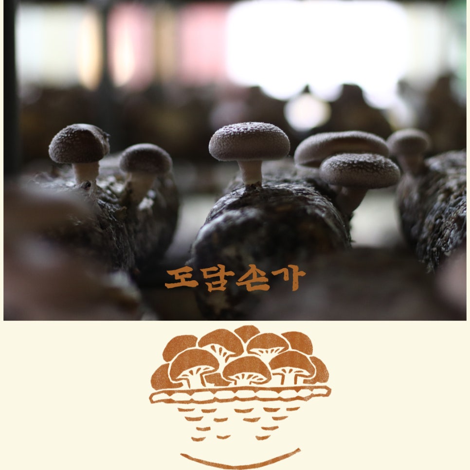 농업회사법인 자연과농부(주) 이미지