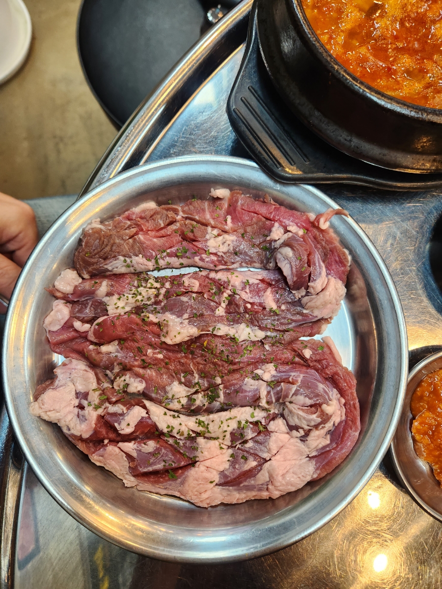 돗배갈매기 이미지