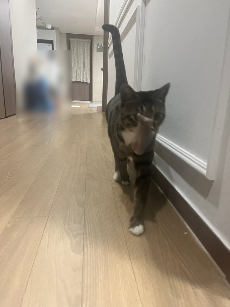당도초과 옥정본점 이미지
