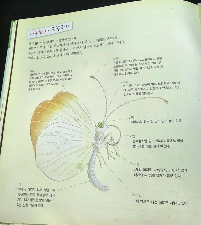 성원집 이미지