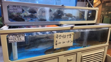 돌섬도매횟집 이미지