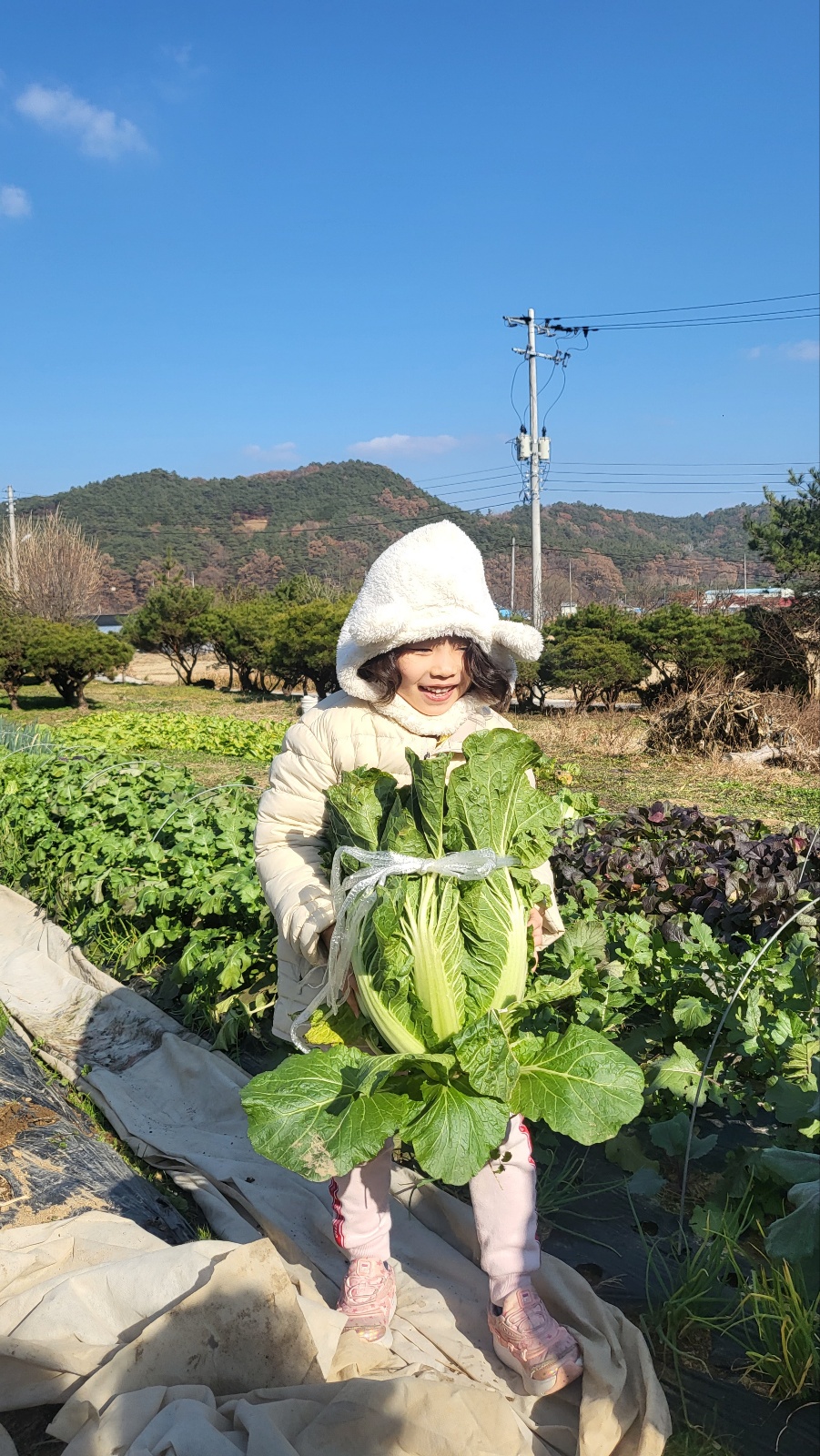 옐로우힐링협동조합 이미지
