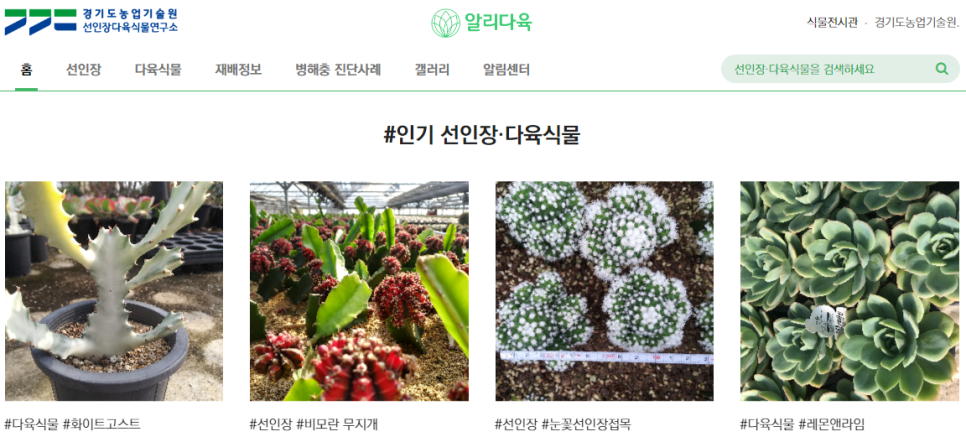 수다육 이미지