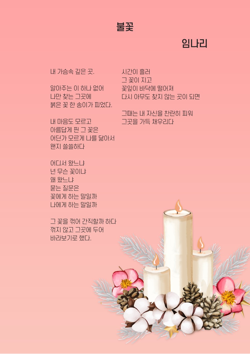 핑크스토리 이미지