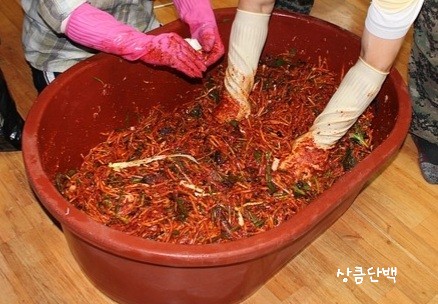 상큼단백 이미지