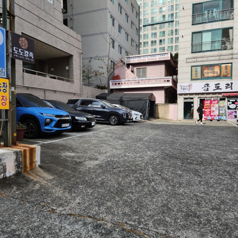 도도칼족 이미지