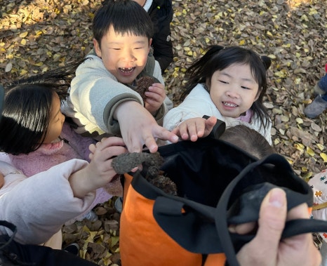 해와달유치원어린이집 이미지
