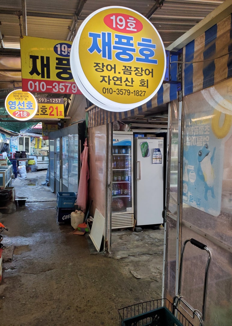 재풍호 이미지