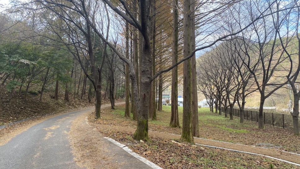 꿈꾸는농부오토캠핑장 이미지