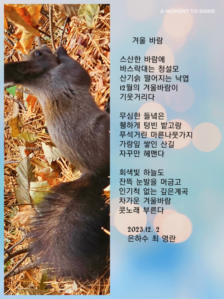 독도해물알찜 (지제역점) 이미지