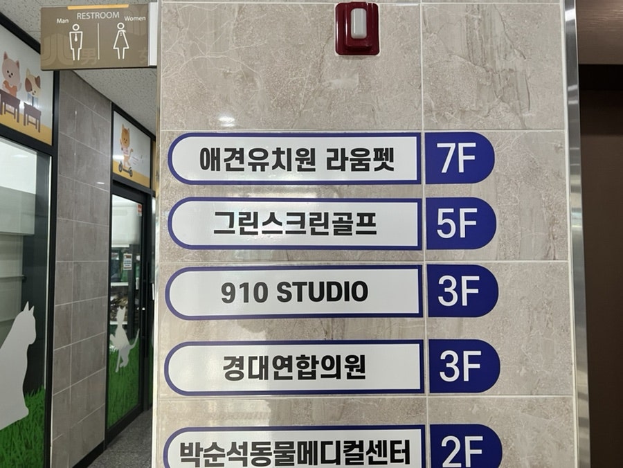 대구 강아지 유치원 라움펫, 체계적인 관리와 넓은 공간 — 사진 5