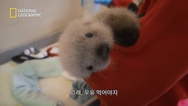 현숙이네 이미지
