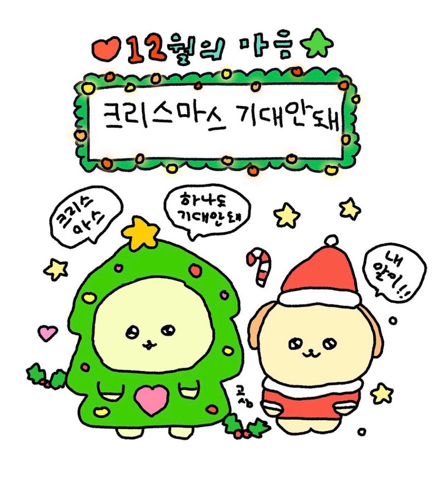 파스쿠찌대구 이미지