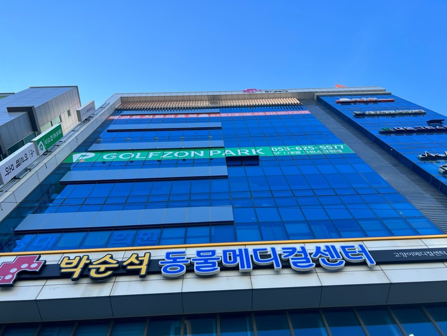 대구 강아지 유치원 라움펫, 체계적인 관리와 넓은 공간 — 사진 2
