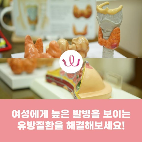 유미안외과 이미지