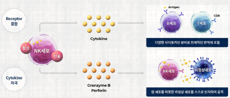 주식회사 이수바이오 이미지
