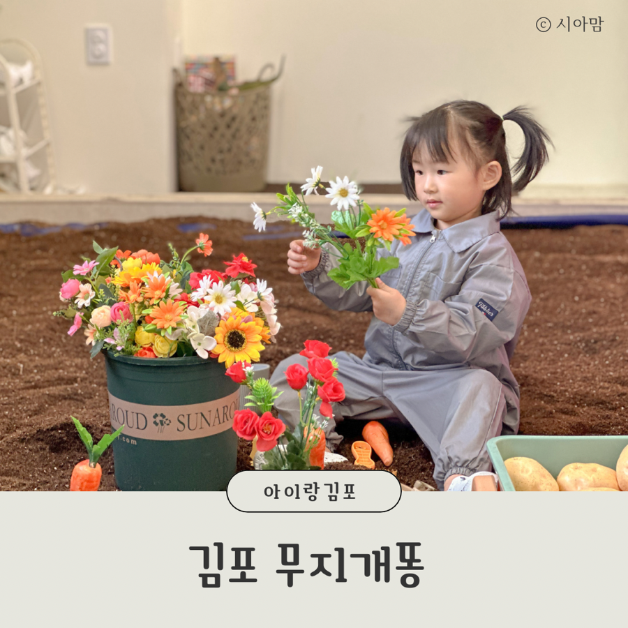 무지개똥 이미지