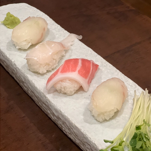 다미락 이미지