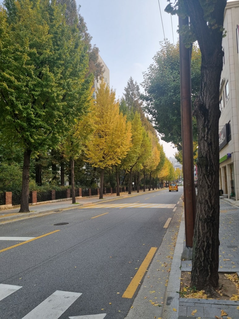 시영분식 이미지